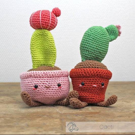 Advanced Crochet Kit - Plants