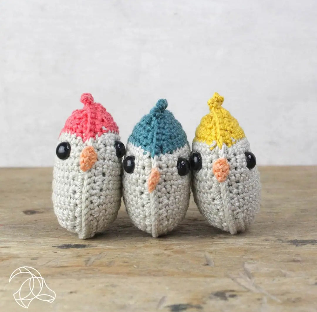 Advancing Beginner Crochet Kits - Beginning Amigurumi