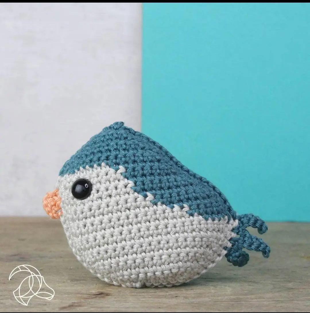Advancing Beginner Crochet Kits - Beginning Amigurumi