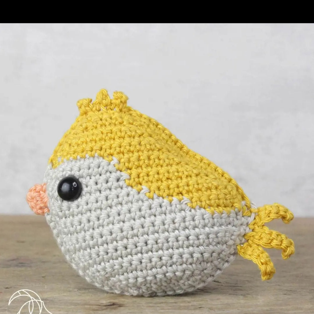 Advancing Beginner Crochet Kits - Beginning Amigurumi