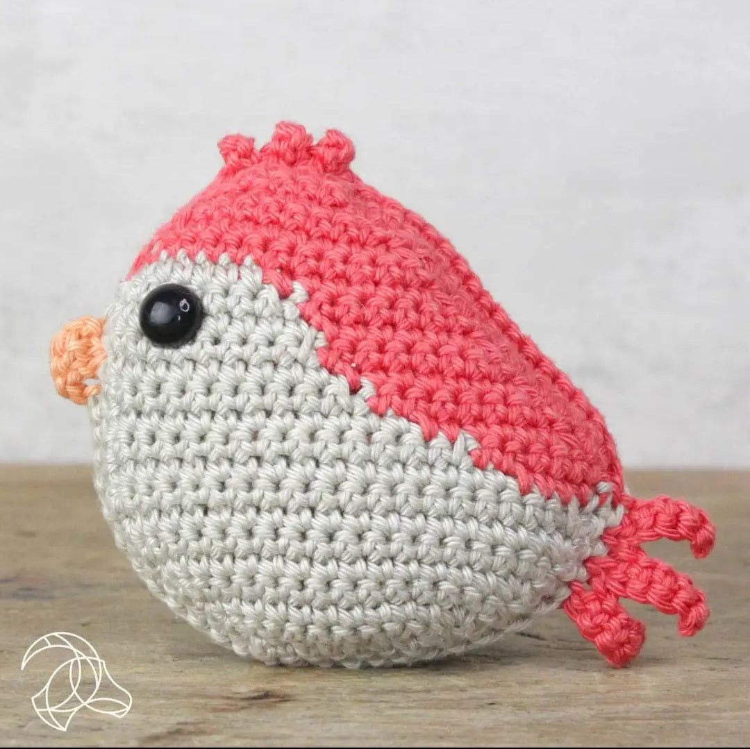 Advancing Beginner Crochet Kits - Beginning Amigurumi