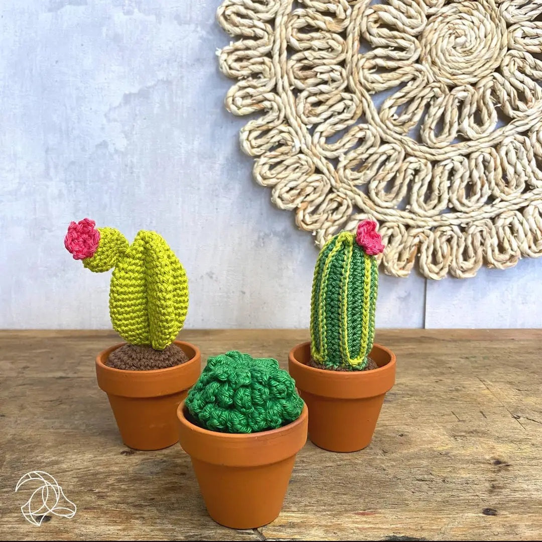 Advanced Crochet Kit - Plants