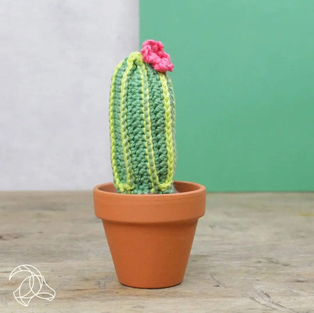 Advanced Crochet Kit - Plants