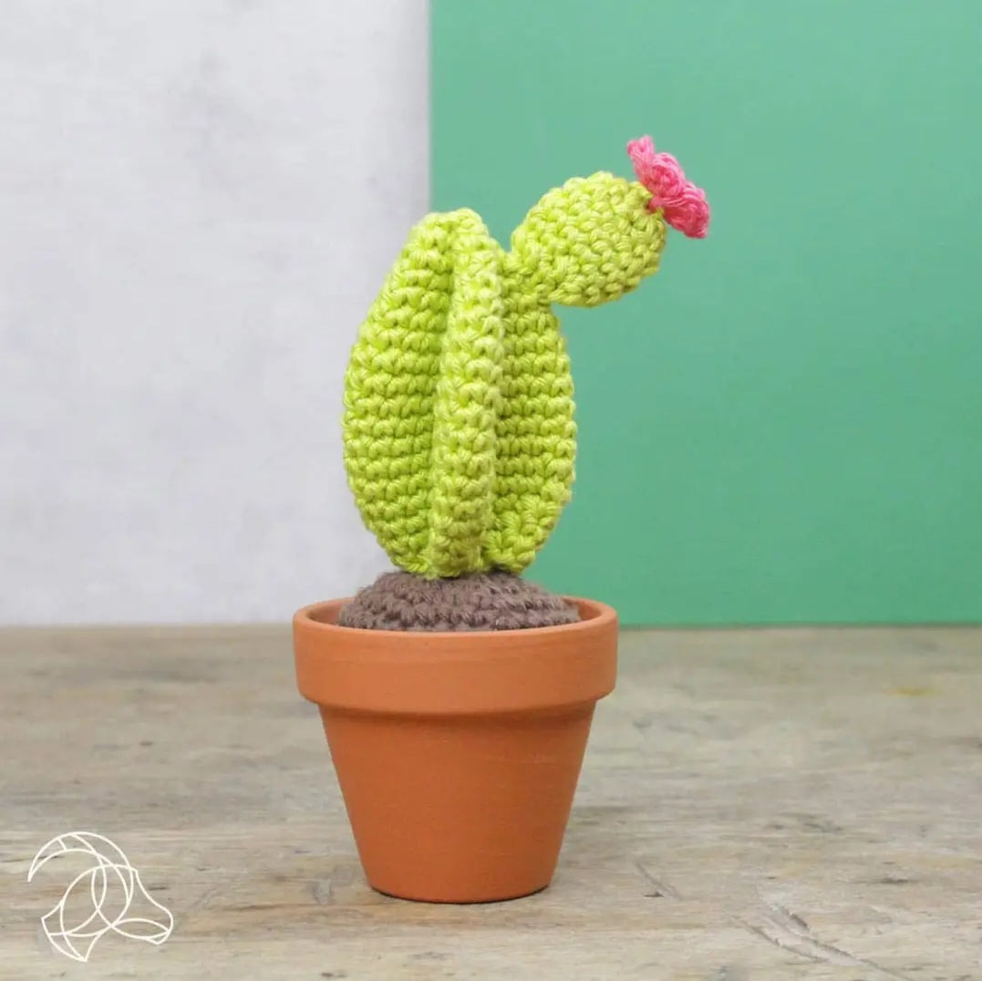 Advanced Crochet Kit - Plants