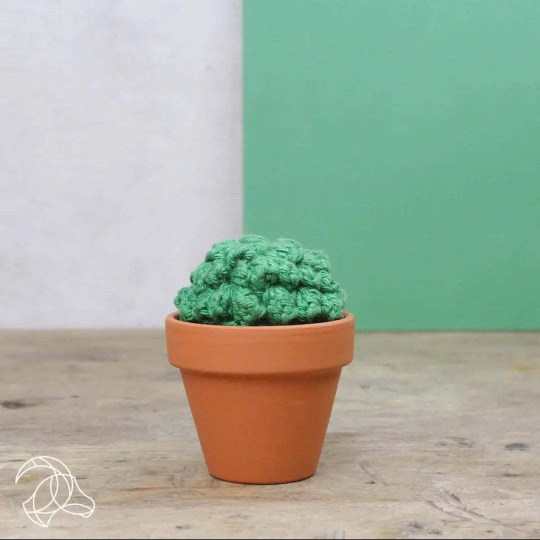 Advanced Crochet Kit - Plants