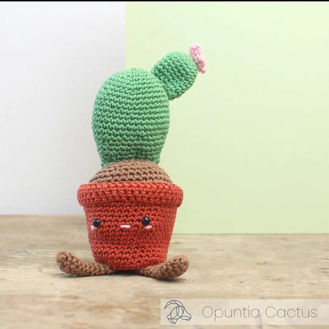Advanced Crochet Kit - Plants